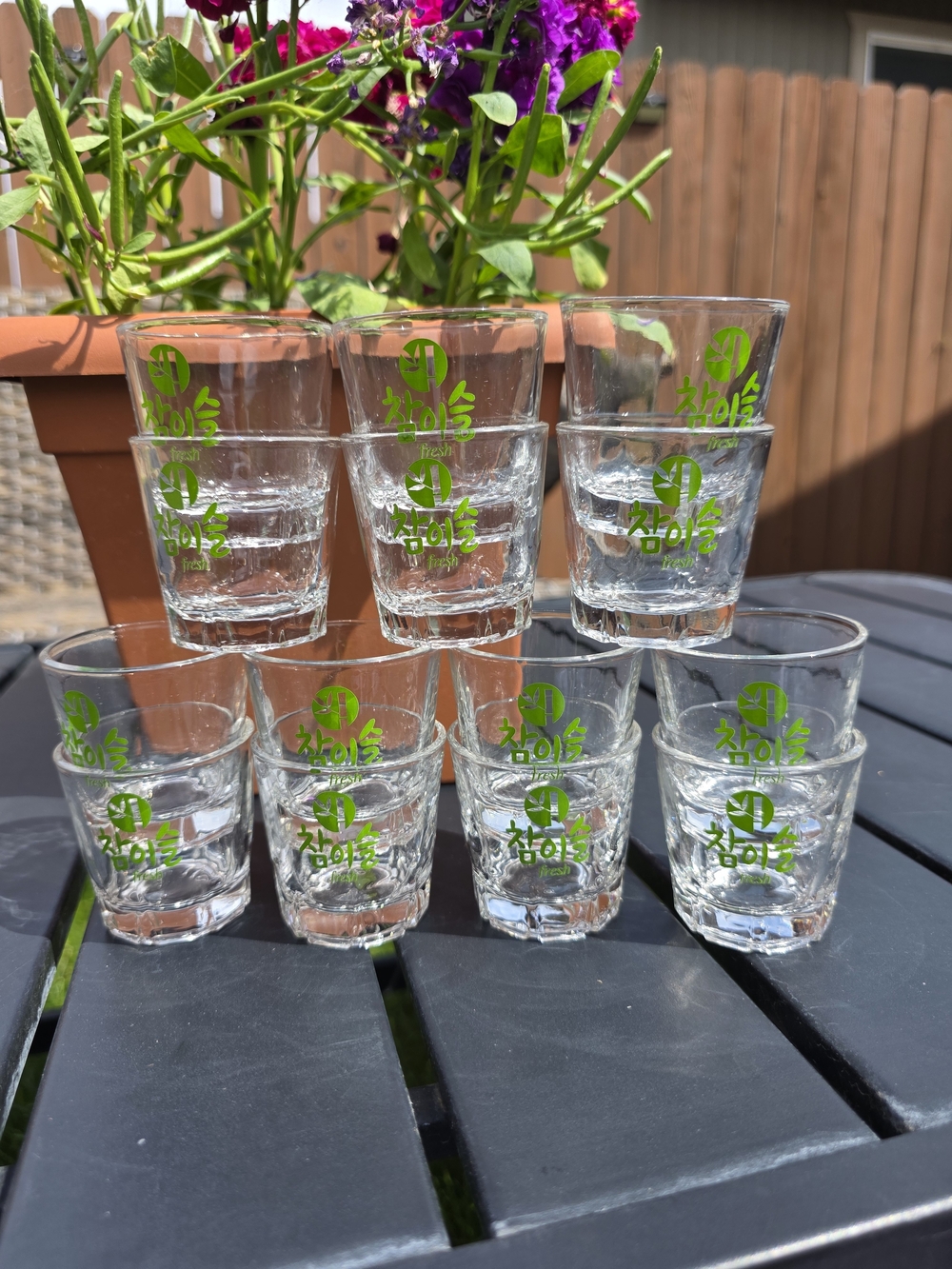 Chamisul Jinro Soju Shot Glasses Set of 14 Korean Green Logo Barware